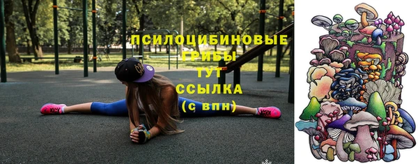 2c-b Горняк