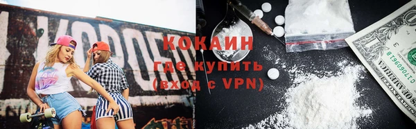 ALPHA PVP Гусев