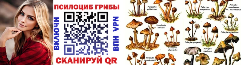 Купить  Сокол  Галлюциногенные грибы GOLDEN TEACHER 